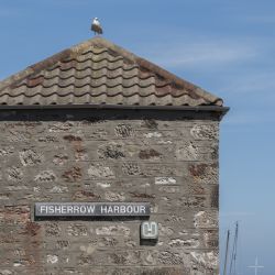 Fisherrow Harbour